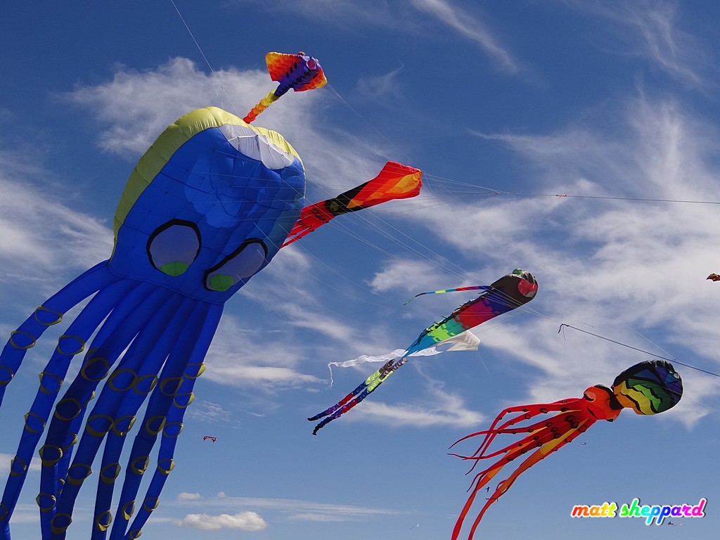 Kite Festival Jamestown - 104 photos by Matt Sheppard at Facebook